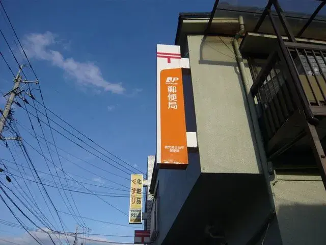 Slide 7