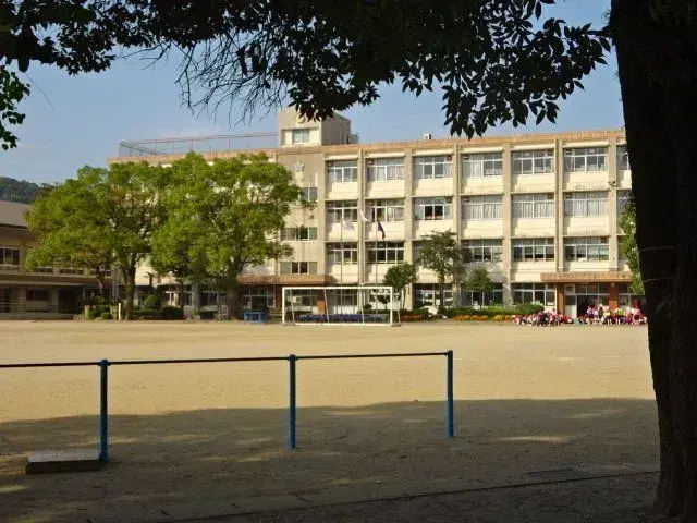 Slide 6