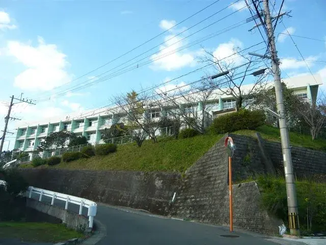 Slide 4