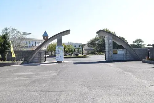 Slide 10