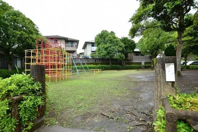 Slide 5
