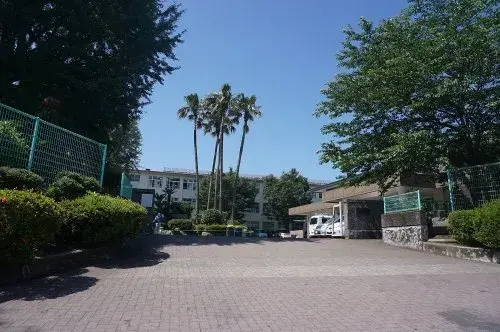 Slide 8