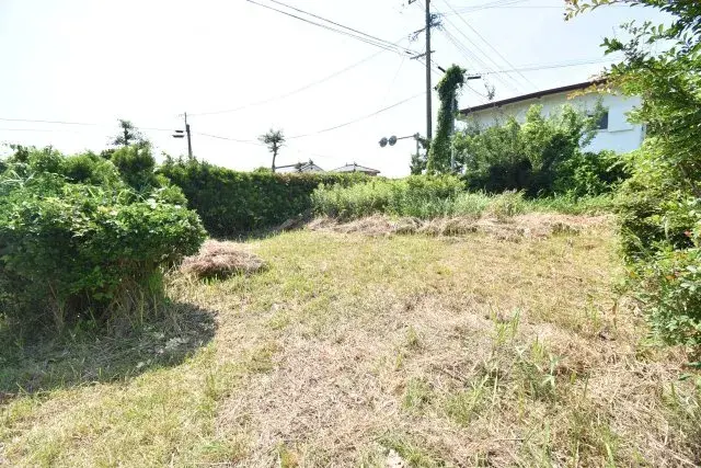 Slide 5