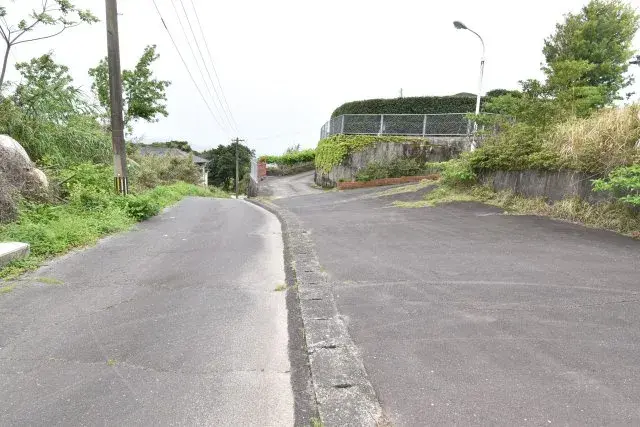 Slide 7