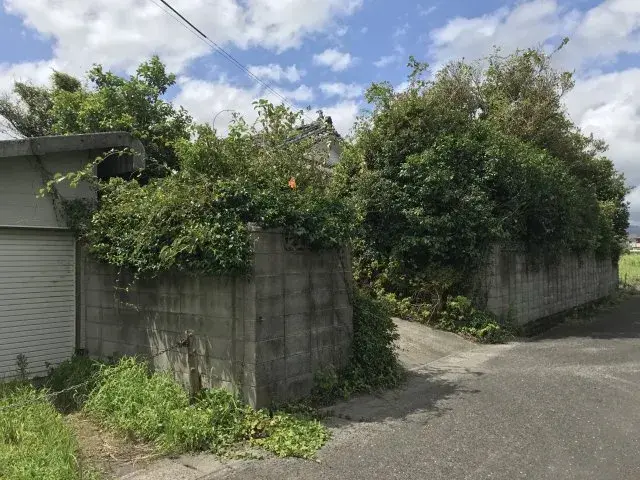 Slide 1