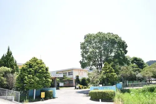 Slide 9