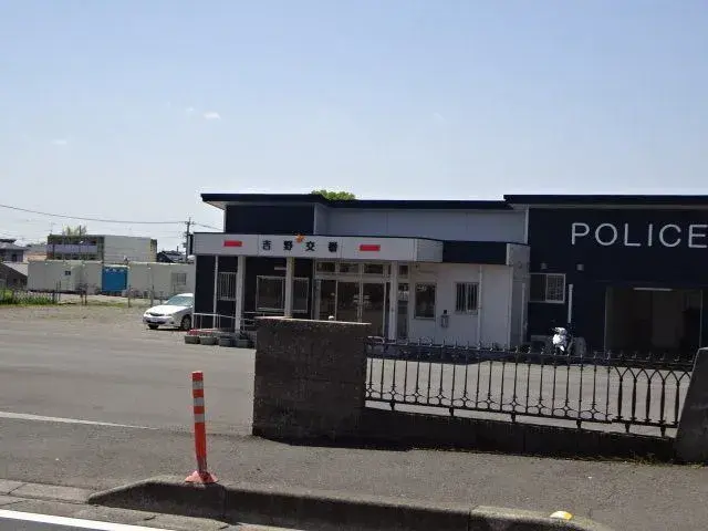 Slide 6