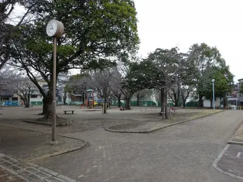 Slide 7