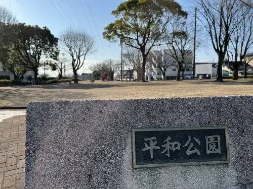 Slide 8