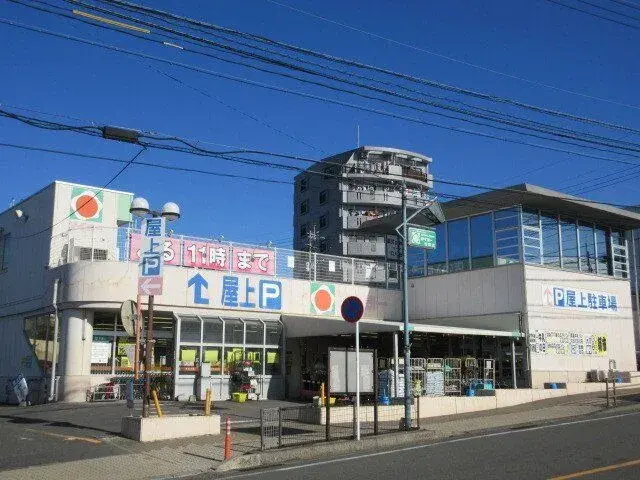 Slide 8
