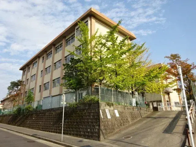Slide 6