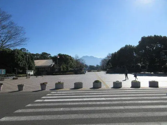 Slide 5