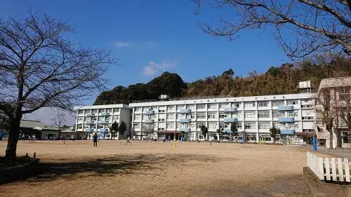 Slide 7