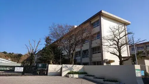 Slide 8