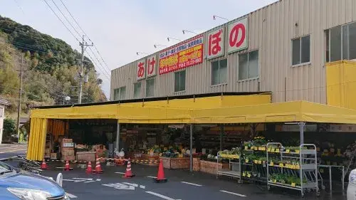 Slide 8