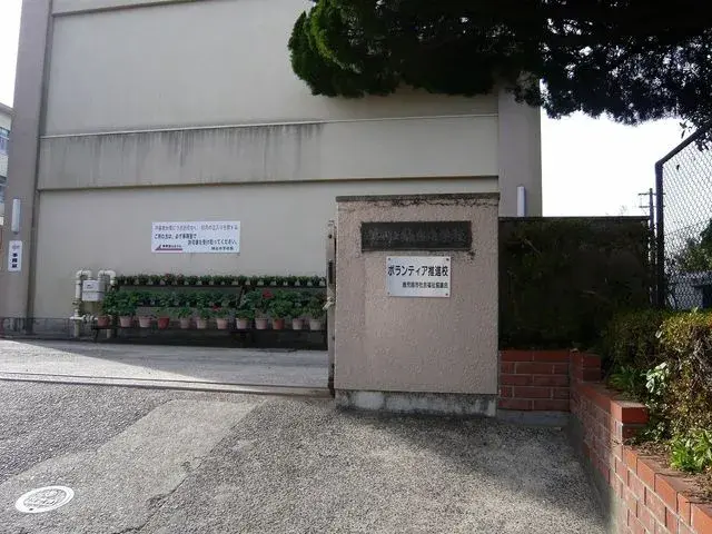 Slide 1