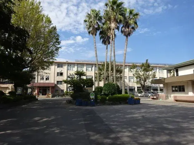 Slide 6