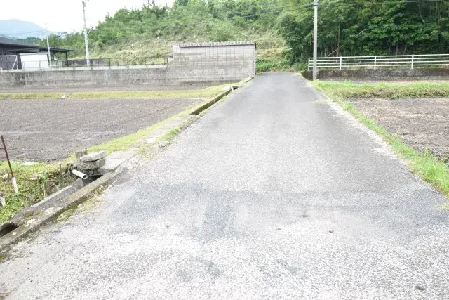 Slide 5