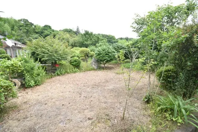 Slide 6