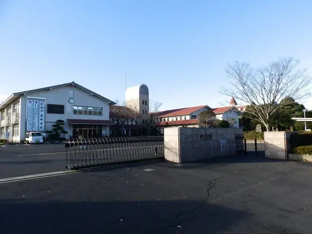 Slide 5