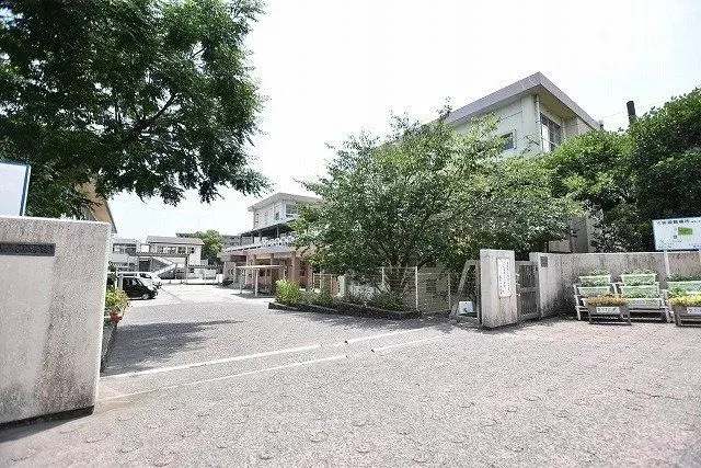 Slide 6