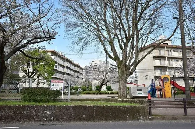 Slide 3