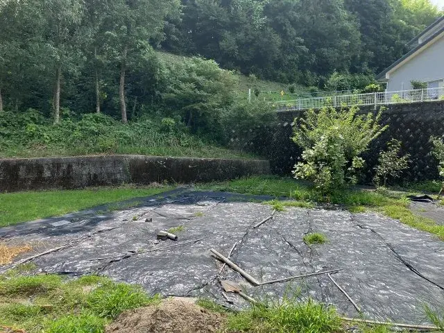 Slide 4
