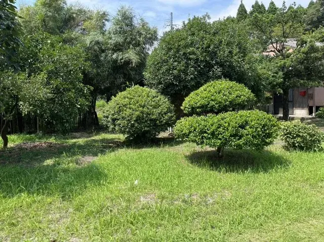 Slide 3