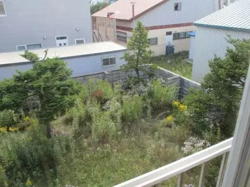 Slide 0