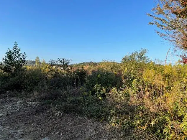 Slide 0