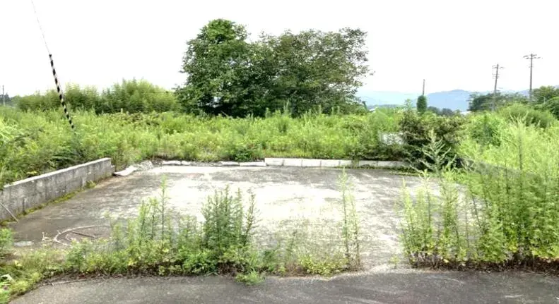 Slide 0