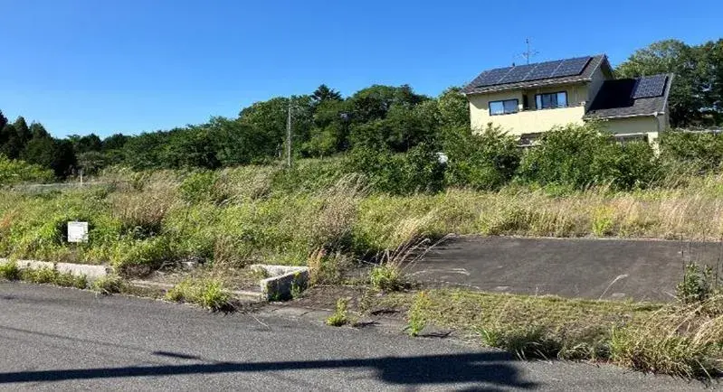 Slide 0