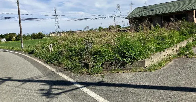 Slide 0