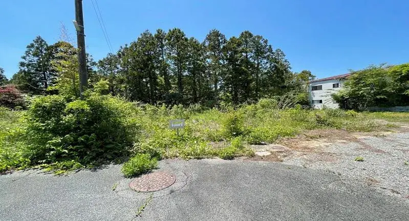 Slide 0