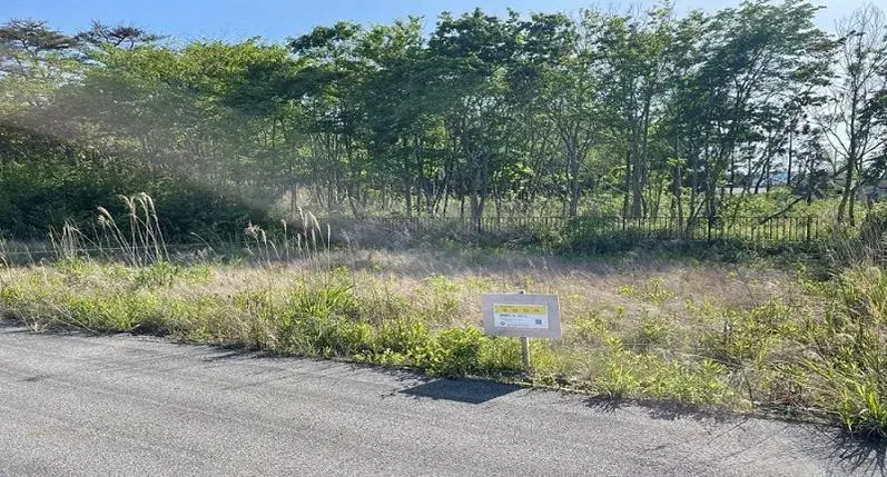 Slide 0