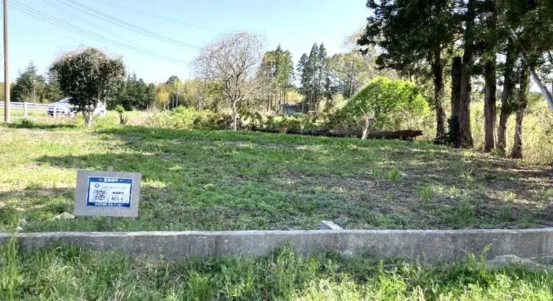 Slide 0