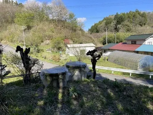 Slide 0