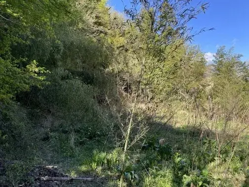Slide 8
