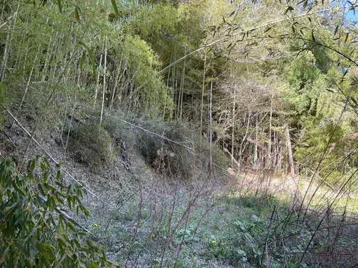 Slide 9