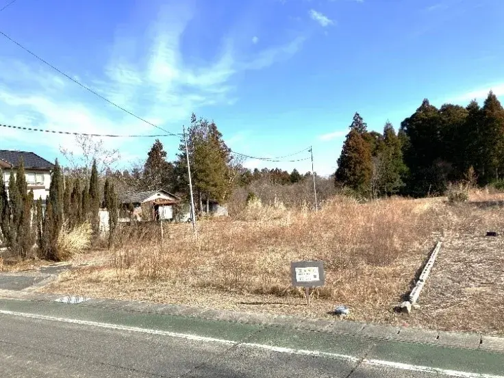 Slide 0