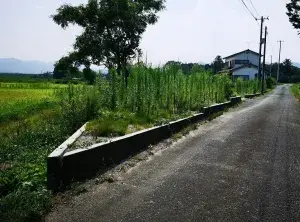 Slide 0