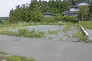 Slide 0