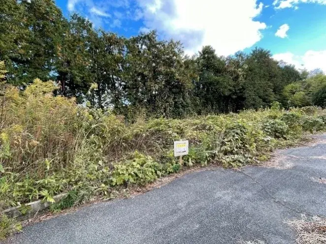 Slide 0