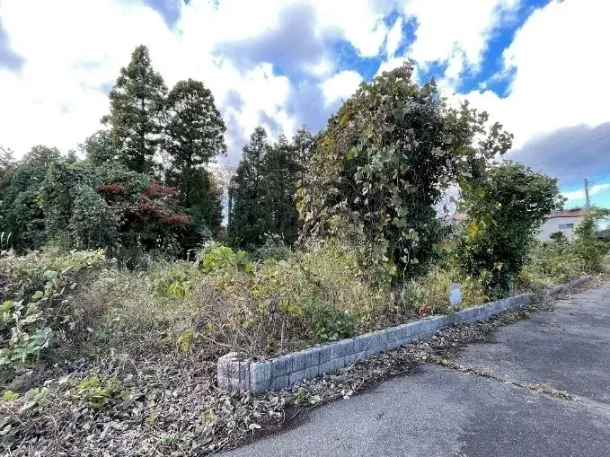 Slide 0