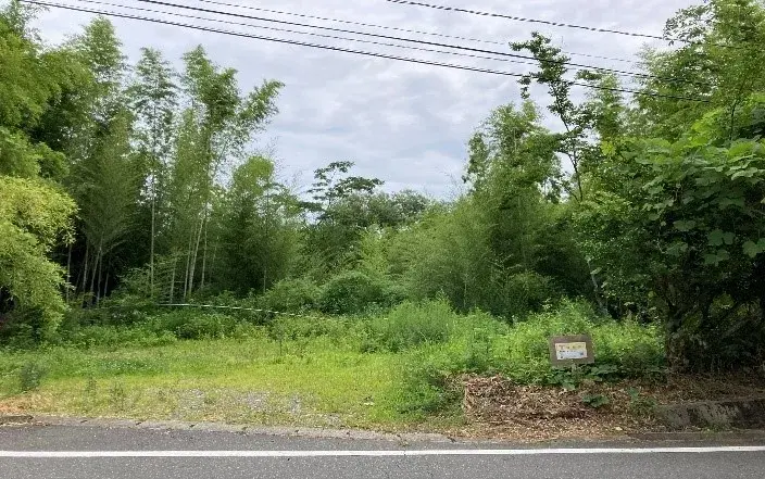 Slide 0