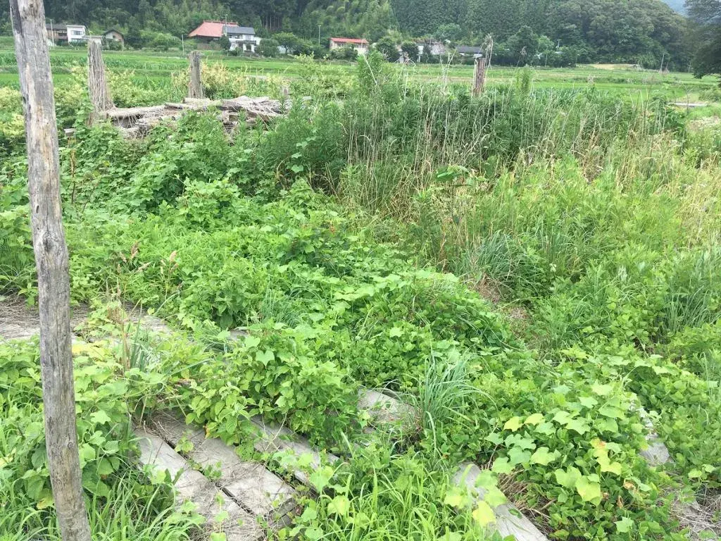Slide 0