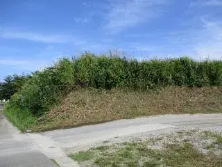 Slide 0