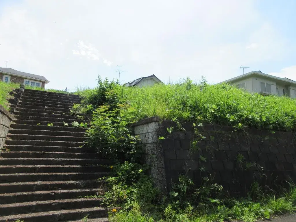 Slide 0