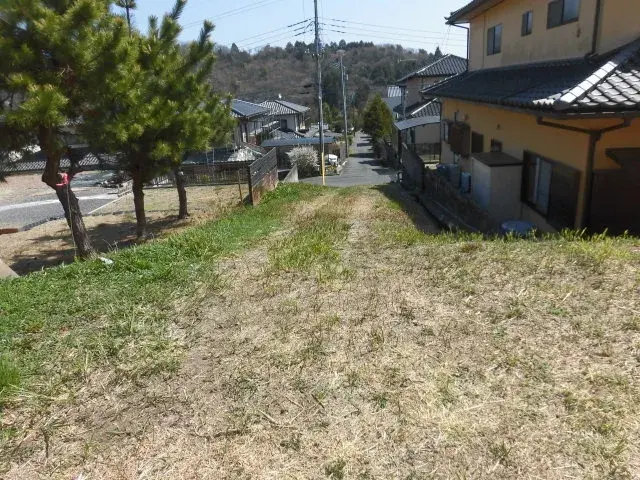 Slide 3