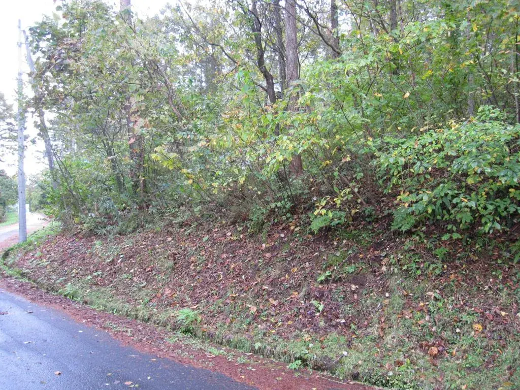 Slide 0